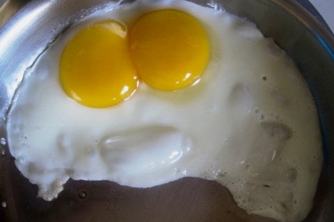 Два желтка в одном яйце: Почему так происходит?