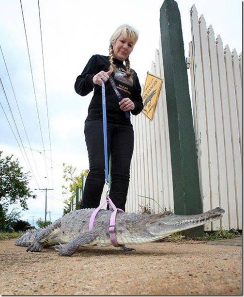 strange-pet-walking04