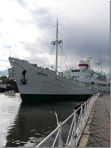 VityazKaliningrad VityazKaliningrad