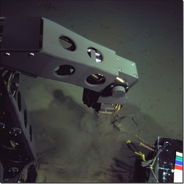 nereus-in-action-lg