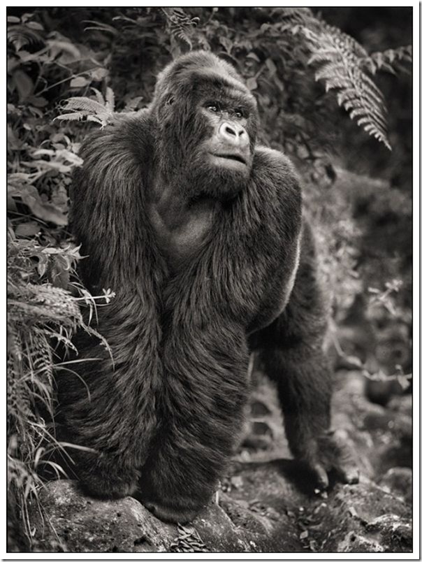 africa_04