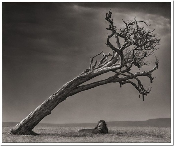 africa_06