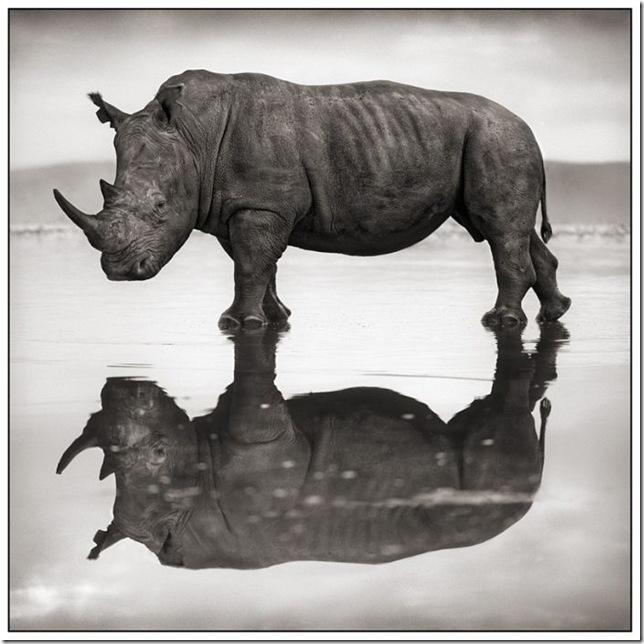 africa_09
