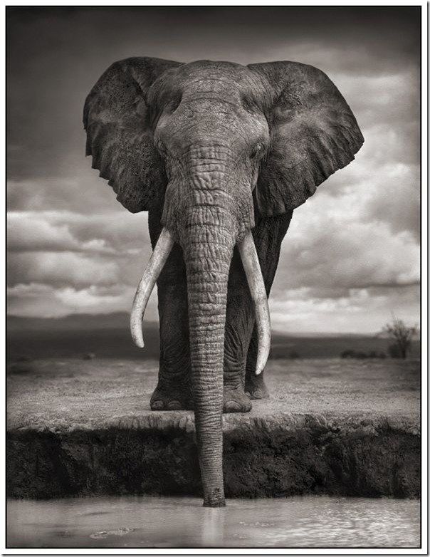 africa_11