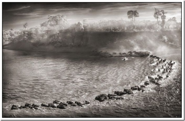 africa_16