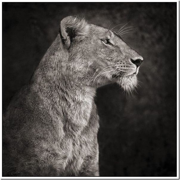 africa_17