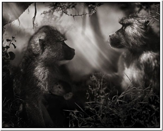 africa_18