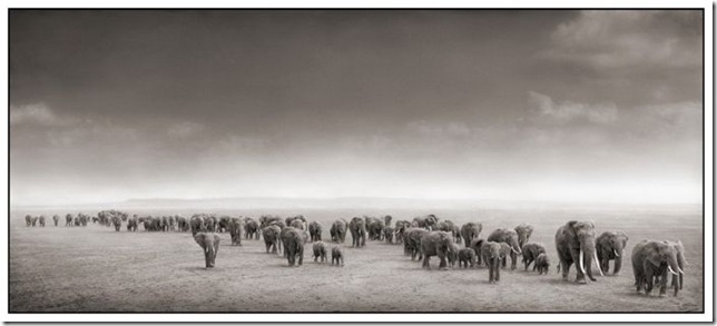 africa_19