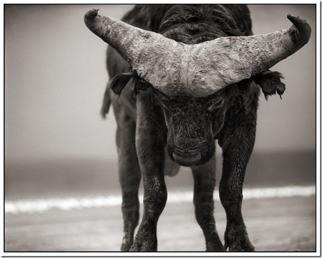 africa_21