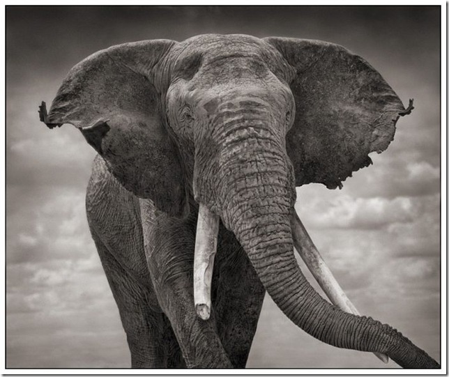 africa_23