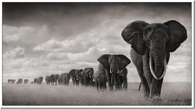 africa_24