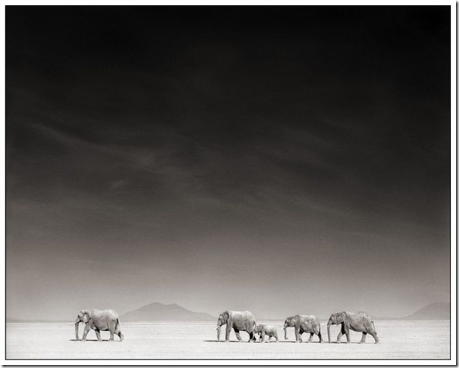 africa_25