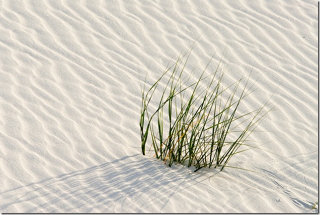 267 267
