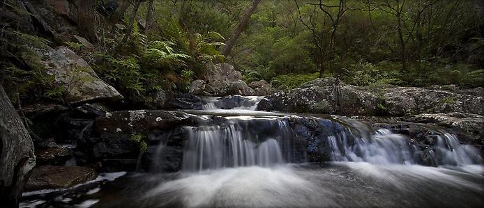 Национальный парк Канангра-Бойд Национальный парк Канангра-Бойд