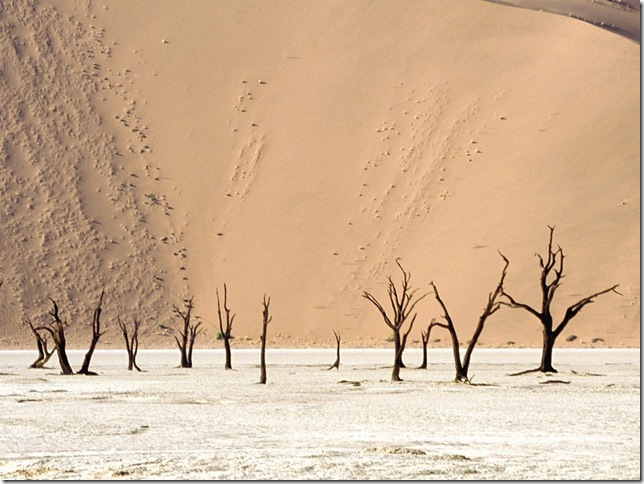 Dead Ulei-Namib Desert-Namibia-Africa Dead Ulei-Namib Desert-Namibia-Africa