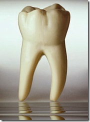 teeth teeth