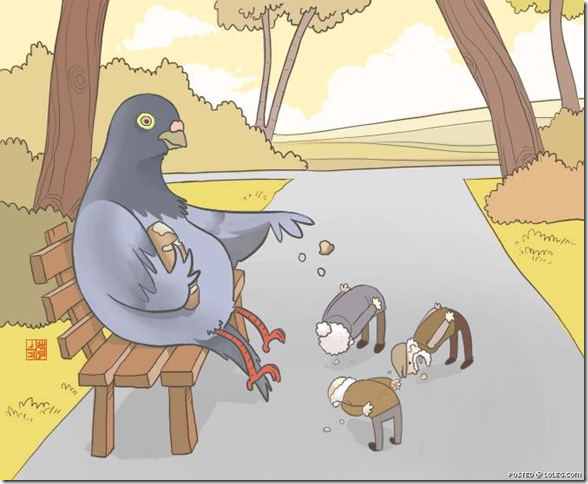 ��� ��������