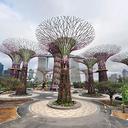 Сады будущего и супердеревья в Сингапуре