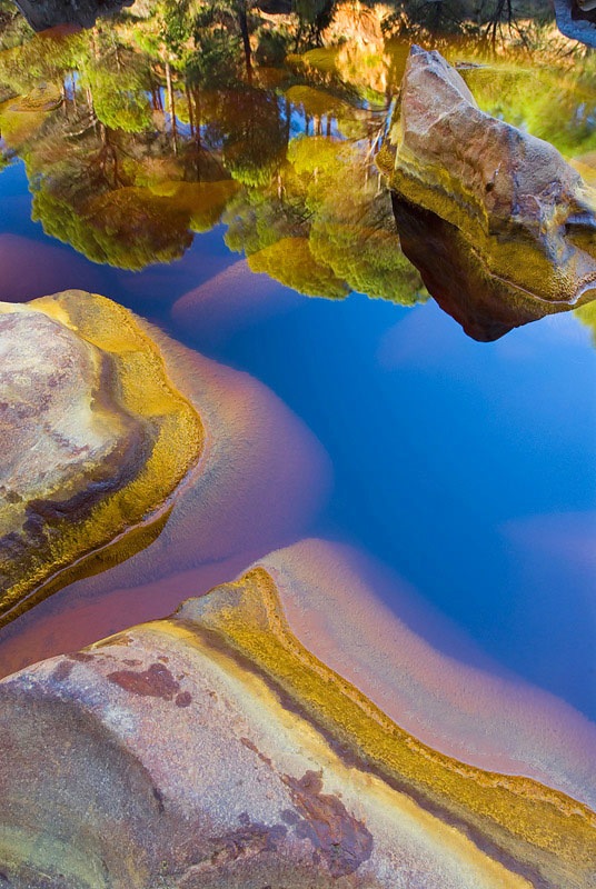 бактерии в реке бактерии в реке