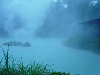 Белый пруд в окружении зелени