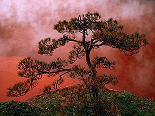 Кровавый пруд с красной водой