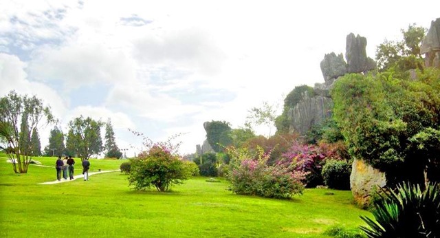 Луга и скалы в Малом каменном лесу