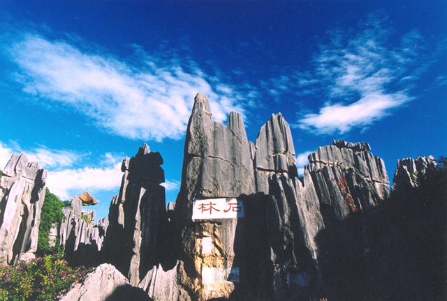 Фестиваль факелов в Каменном лесу