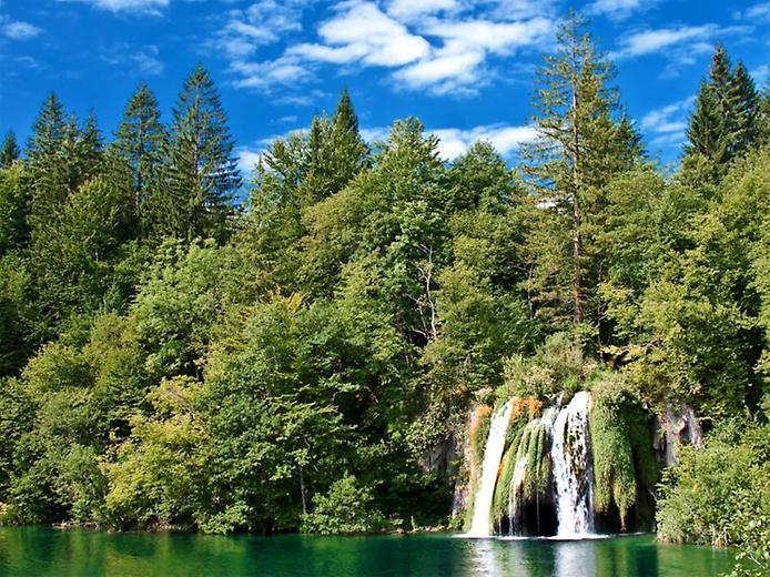 высокий водопад среди леса