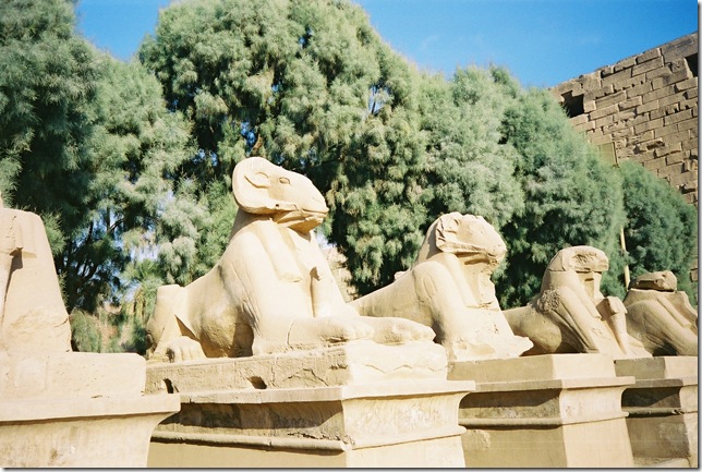 Аллея сфинксов, соединяющая Карнак и Луксор