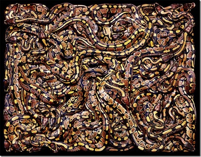 many-snakes many-snakes