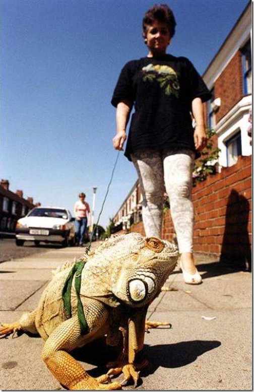 strange-pet-walking08 strange-pet-walking08