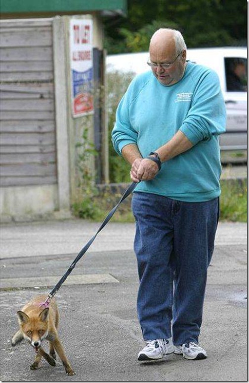 strange-pet-walking09 strange-pet-walking09