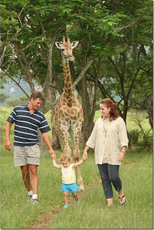 strange-pet-walking13 strange-pet-walking13