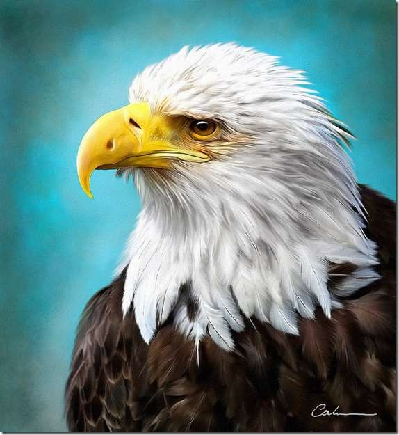 artwork-by-odwin-rensen28 artwork-by-odwin-rensen28