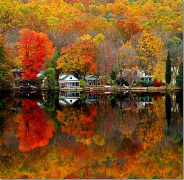 colors colors