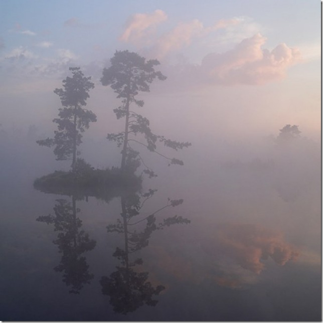 mist mist