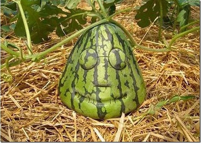 unusual-fruit-and-vegetables01 unusual-fruit-and-vegetables01