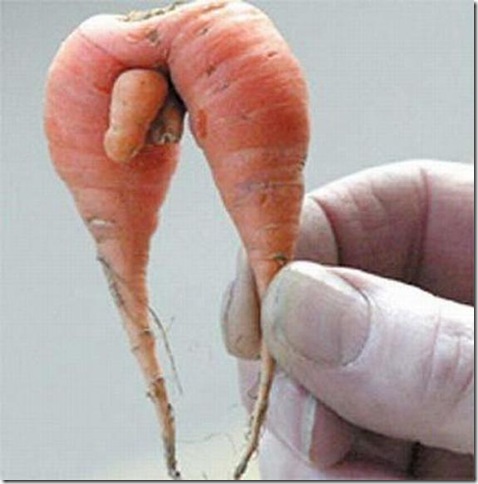 unusual-fruit-and-vegetables04 unusual-fruit-and-vegetables04