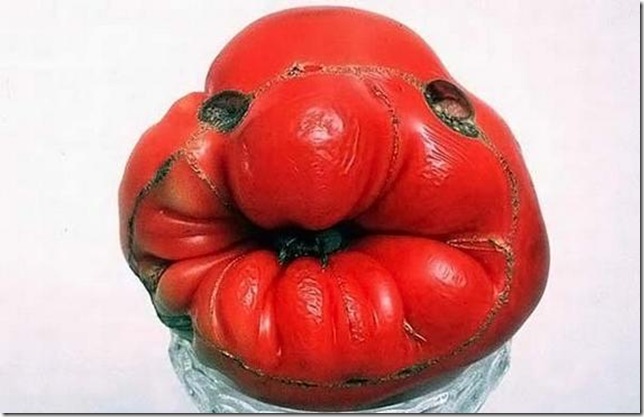 unusual-fruit-and-vegetables05 unusual-fruit-and-vegetables05