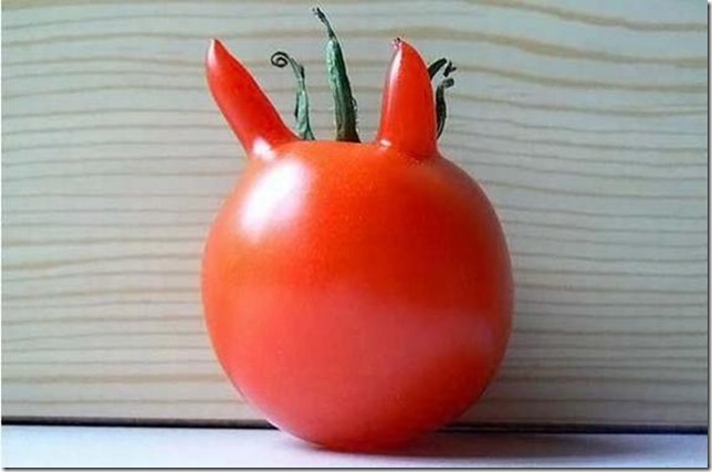 unusual-fruit-and-vegetables09 unusual-fruit-and-vegetables09