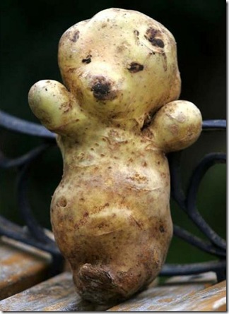 unusual-fruit-and-vegetables12 unusual-fruit-and-vegetables12