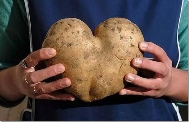 unusual-fruit-and-vegetables15 unusual-fruit-and-vegetables15