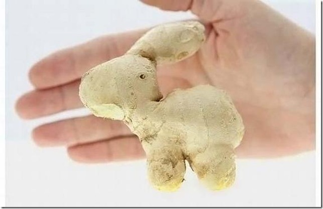 unusual-fruit-and-vegetables16 unusual-fruit-and-vegetables16