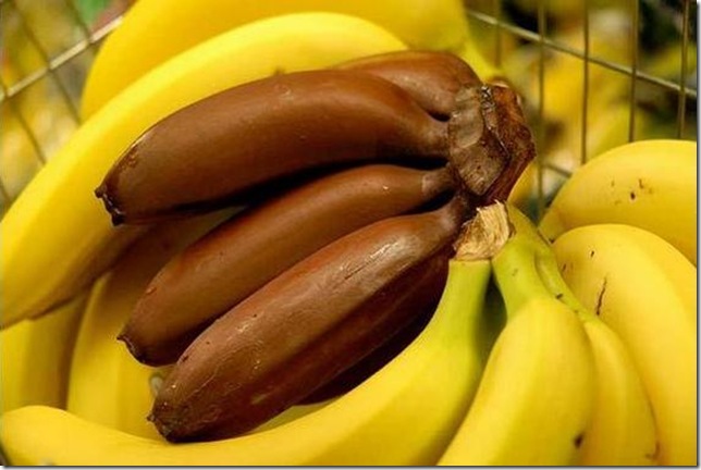 unusual-fruit-and-vegetables23 unusual-fruit-and-vegetables23