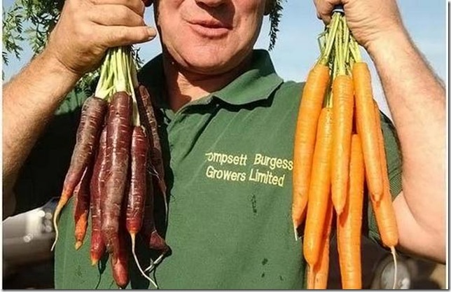 unusual-fruit-and-vegetables25 unusual-fruit-and-vegetables25