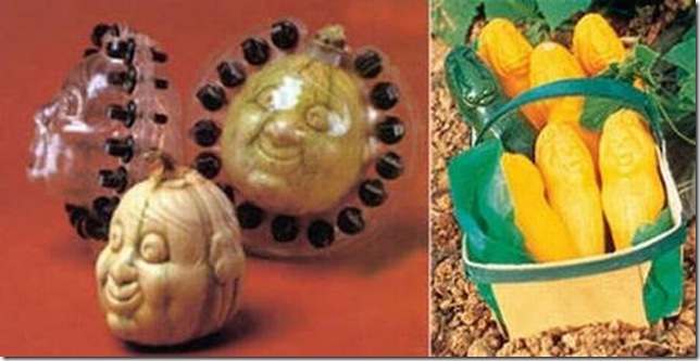 unusual-fruit-and-vegetables30 unusual-fruit-and-vegetables30