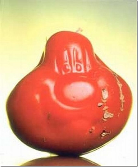 unusual-fruit-and-vegetables31 unusual-fruit-and-vegetables31