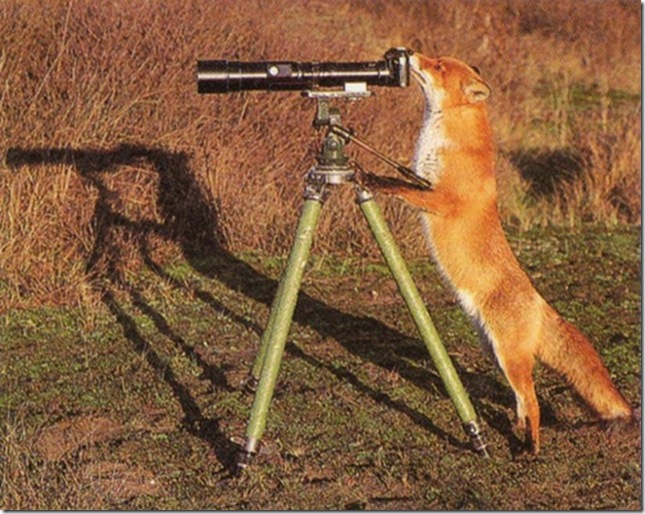 31 31