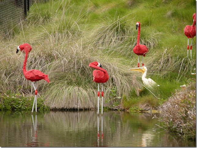 legoland-flamingoes legoland-flamingoes