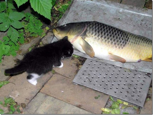 38 38